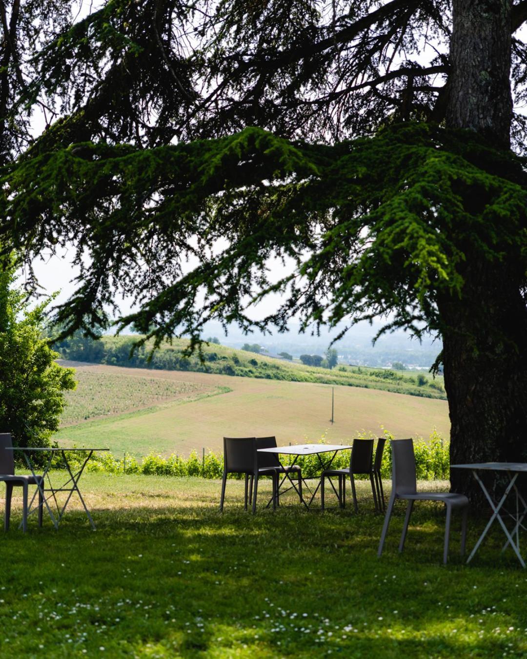 Chateau De Tauzies, The Originals Relais ガイヤック エクステリア 写真