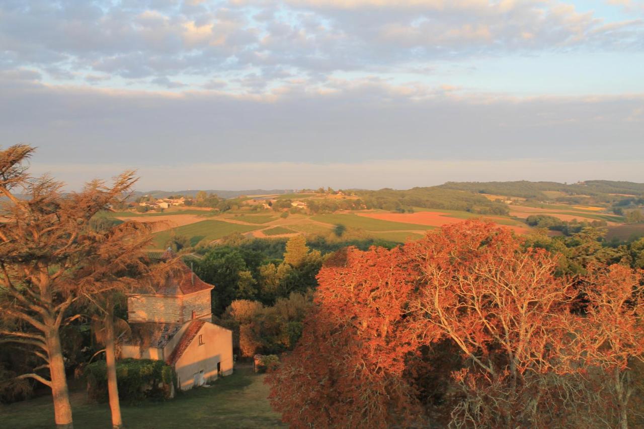 Chateau De Tauzies, The Originals Relais ガイヤック エクステリア 写真